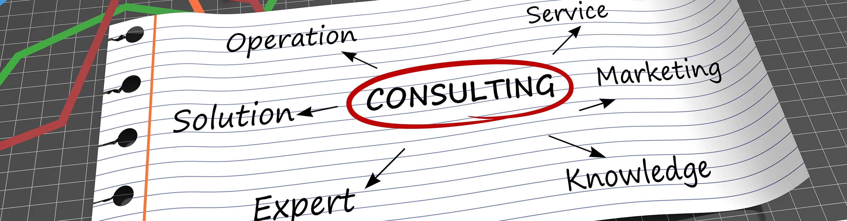 Consulting